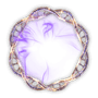 Cloned Plasmids