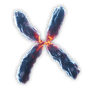 Centromere Mixture