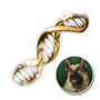 Hagios Sheepdog Enhanced Cell Blueprint
