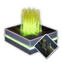Sigvore's Proof Synthetic Fiber