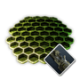 Sigvore's Proof Polymer Syncytium